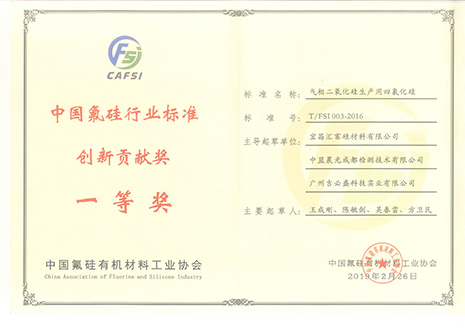 中国氟硅行业标准创新贡献奖一等奖 