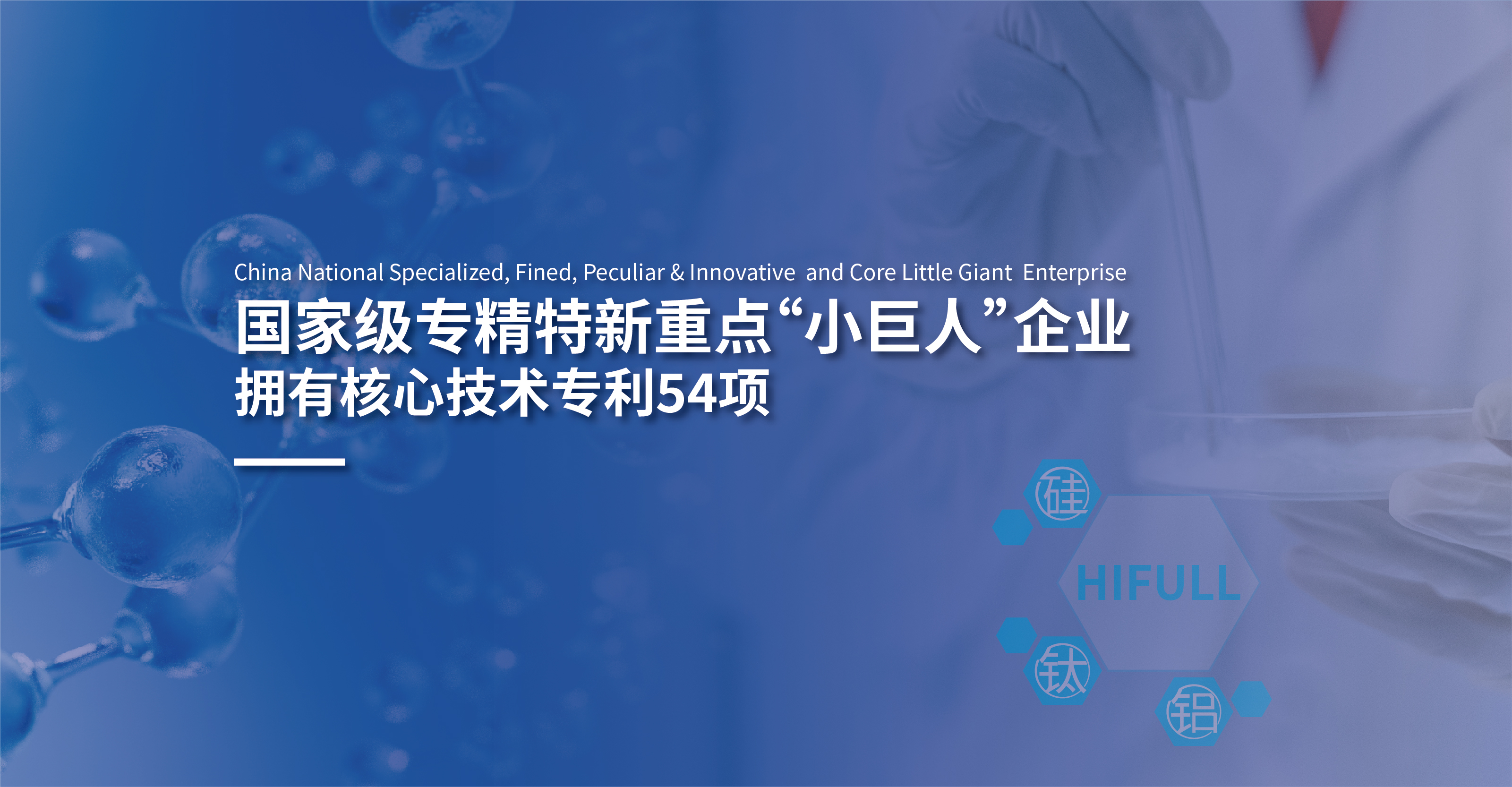 国家级专精特新重点小巨人企业